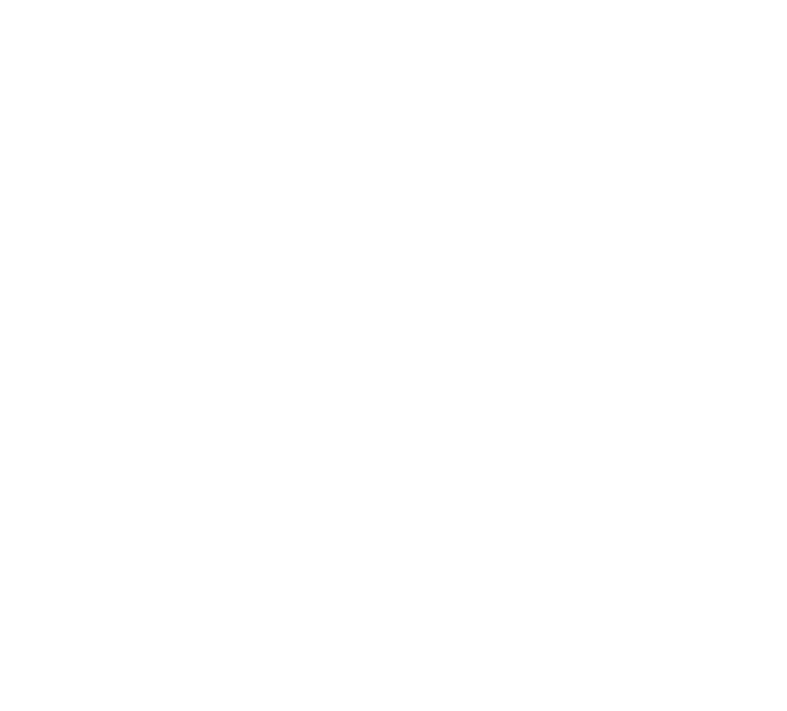 auto perionica placanje karticom